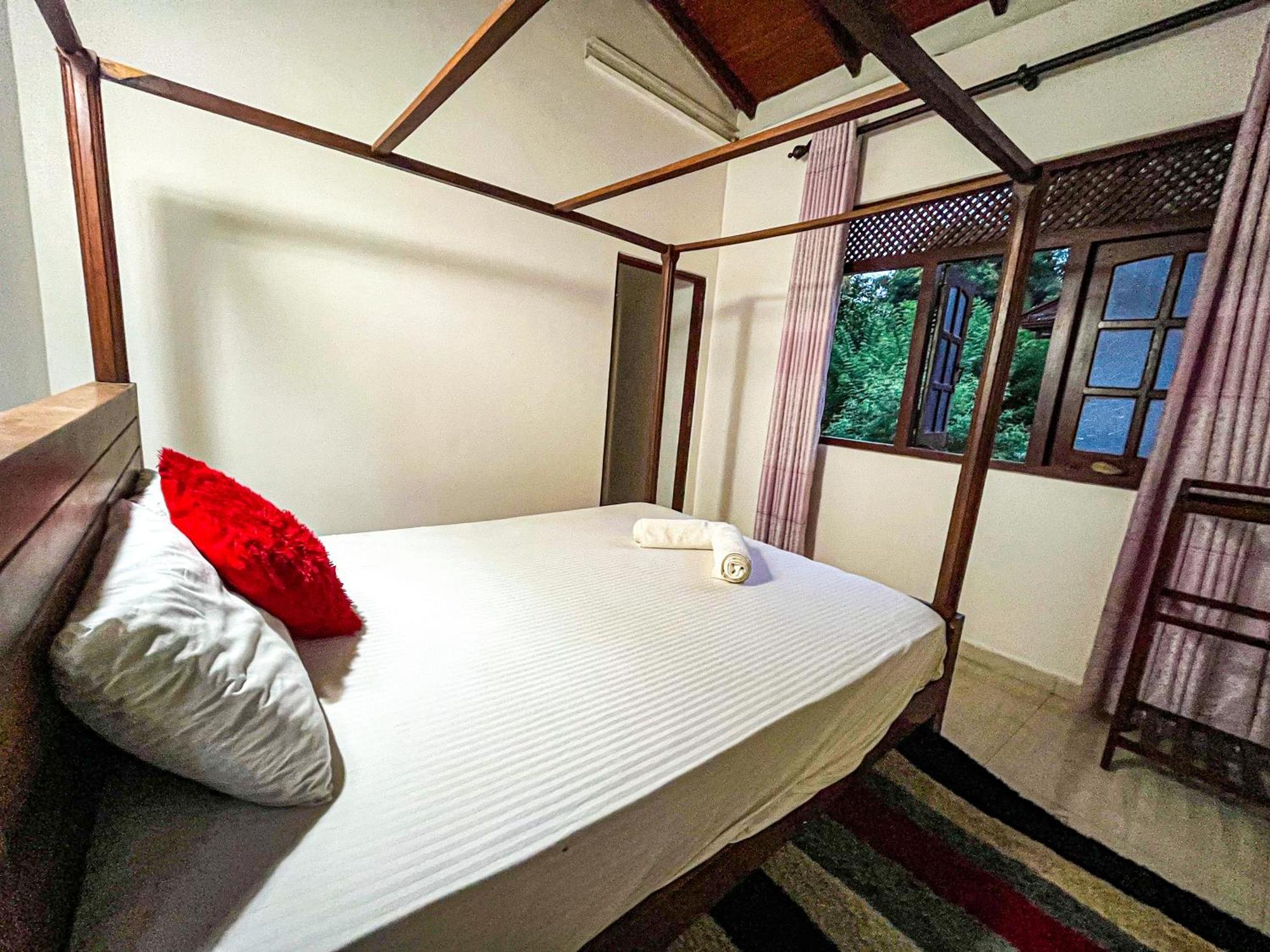 Galle Camellia Quarto foto
